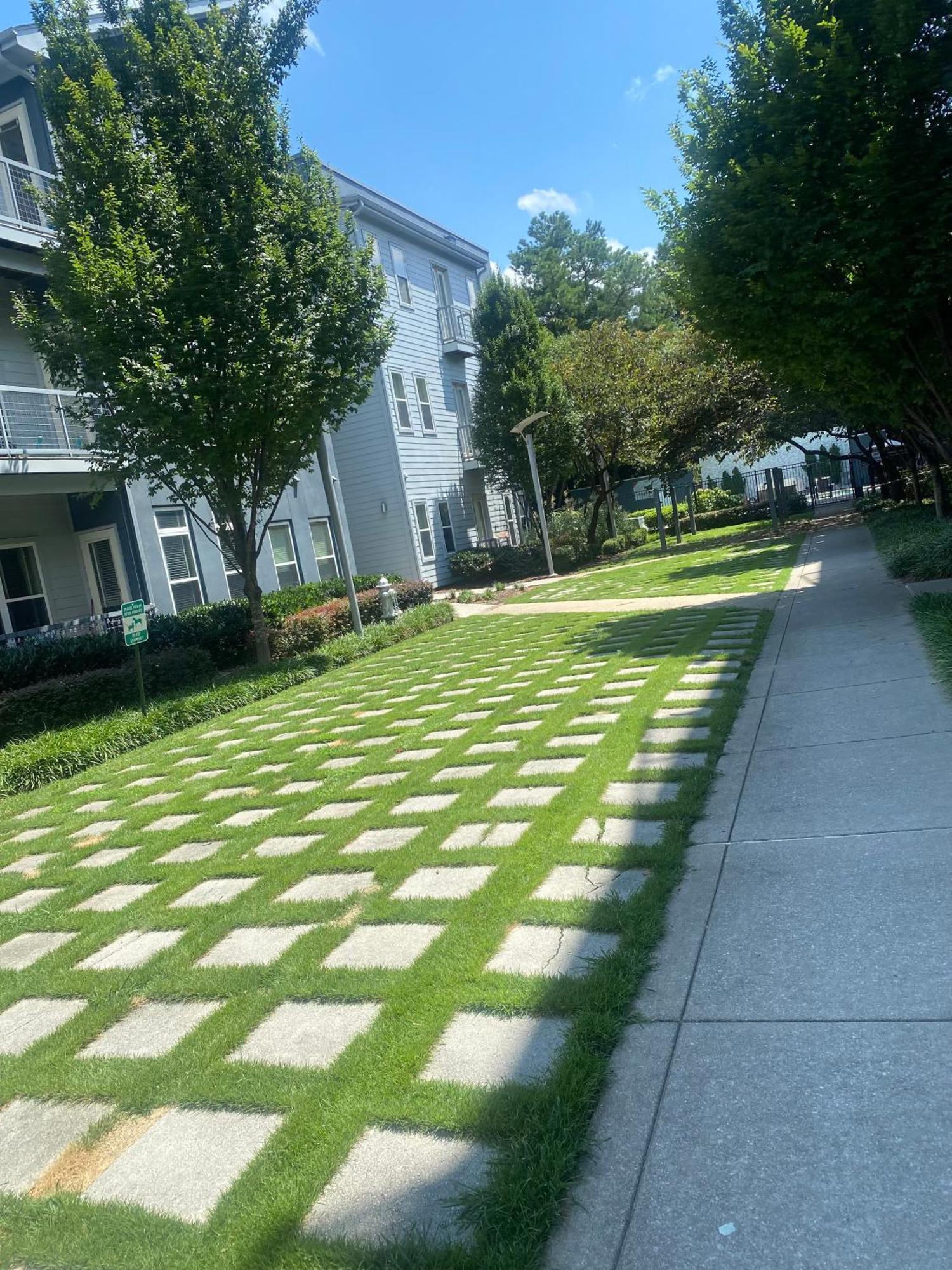 דירות אטלנטה 1Bd Gorgeous Loft In Buckhead Free Wi-Fi, Parking מראה חיצוני תמונה